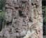 Copan Stela H
